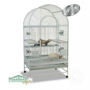 Degu Miami montana knaagdierkooi